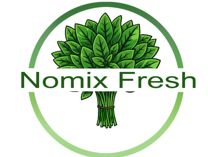 nomix-fresh-transparent